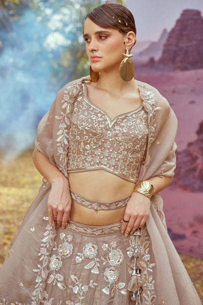 Beige Colour Organza Embroidery Lehenga Choli VSLC1111394