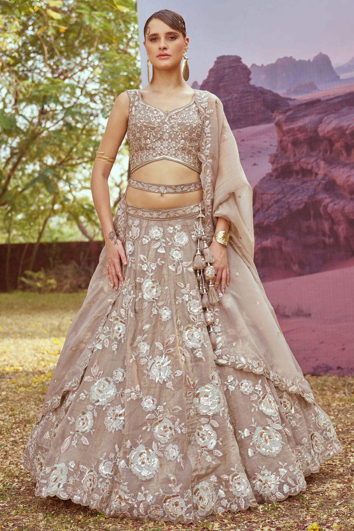 Beige Colour Organza Embroidery Lehenga Choli