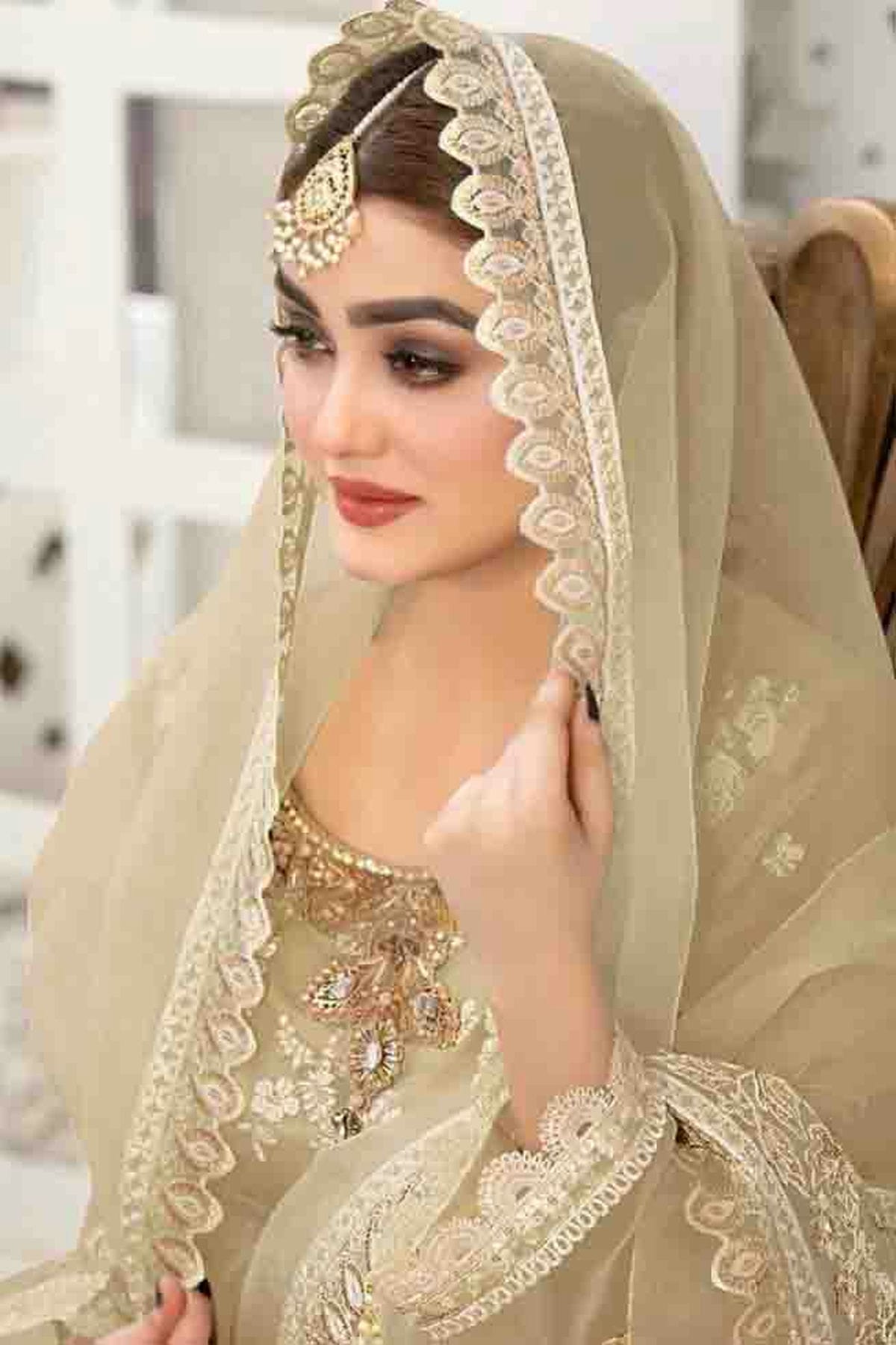 Beige Colour Semi Stitched Organza Pakistani Suit VSSM1140655