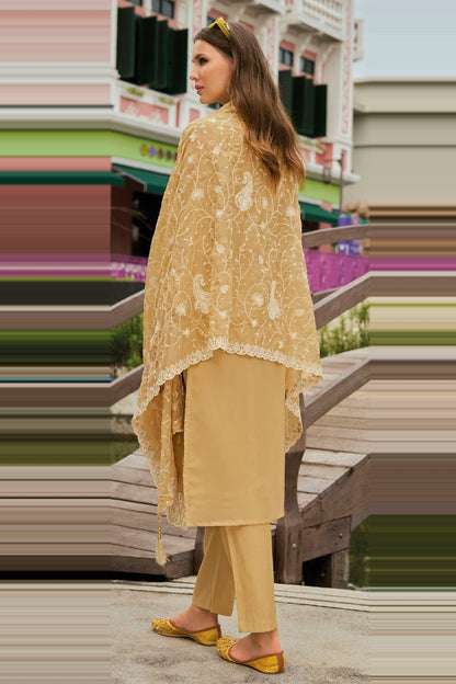 Beige Colour Soft Organza Pakistani Suit