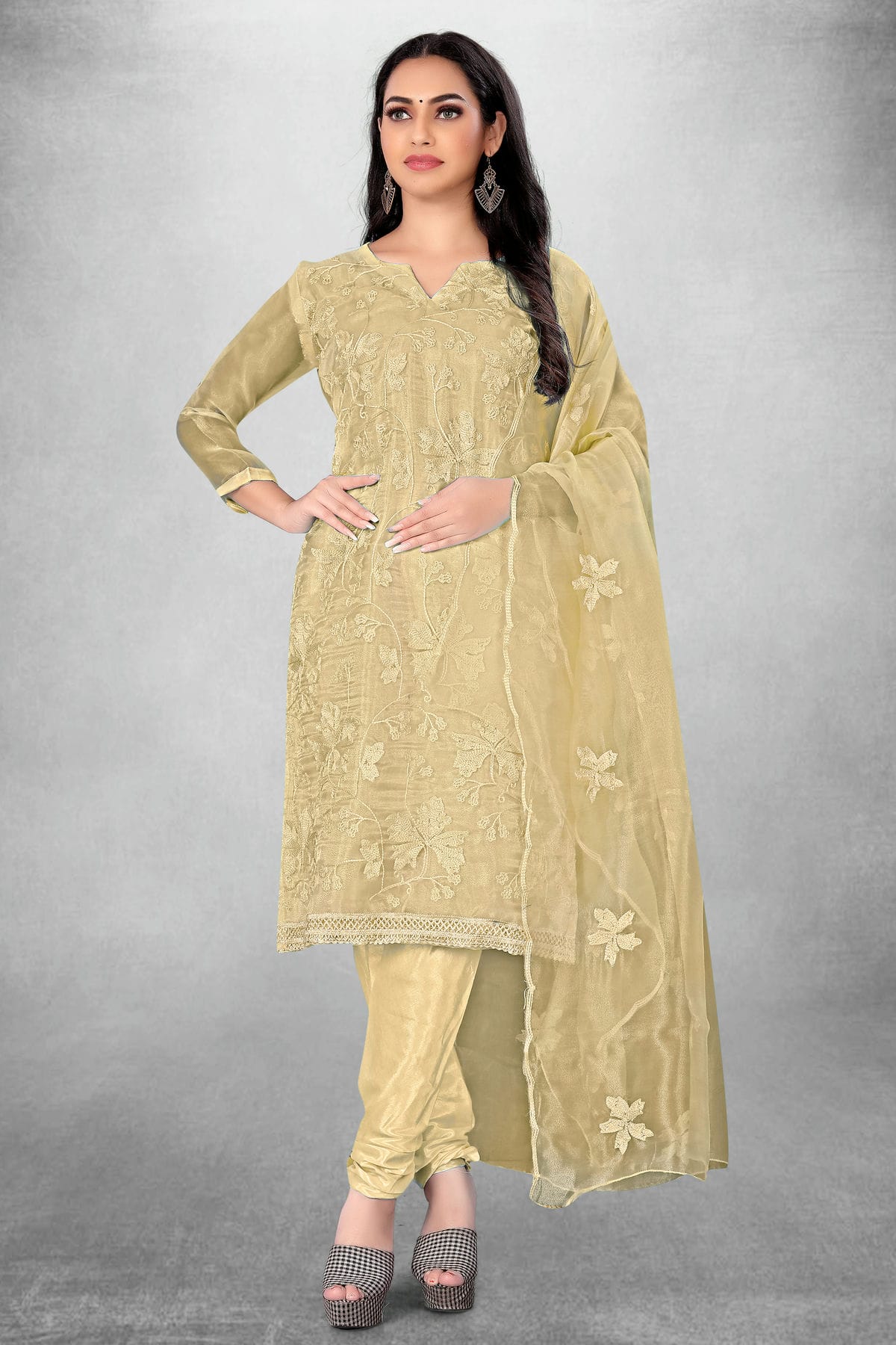 Beige Colour Unstitched Organza Churidar Suit