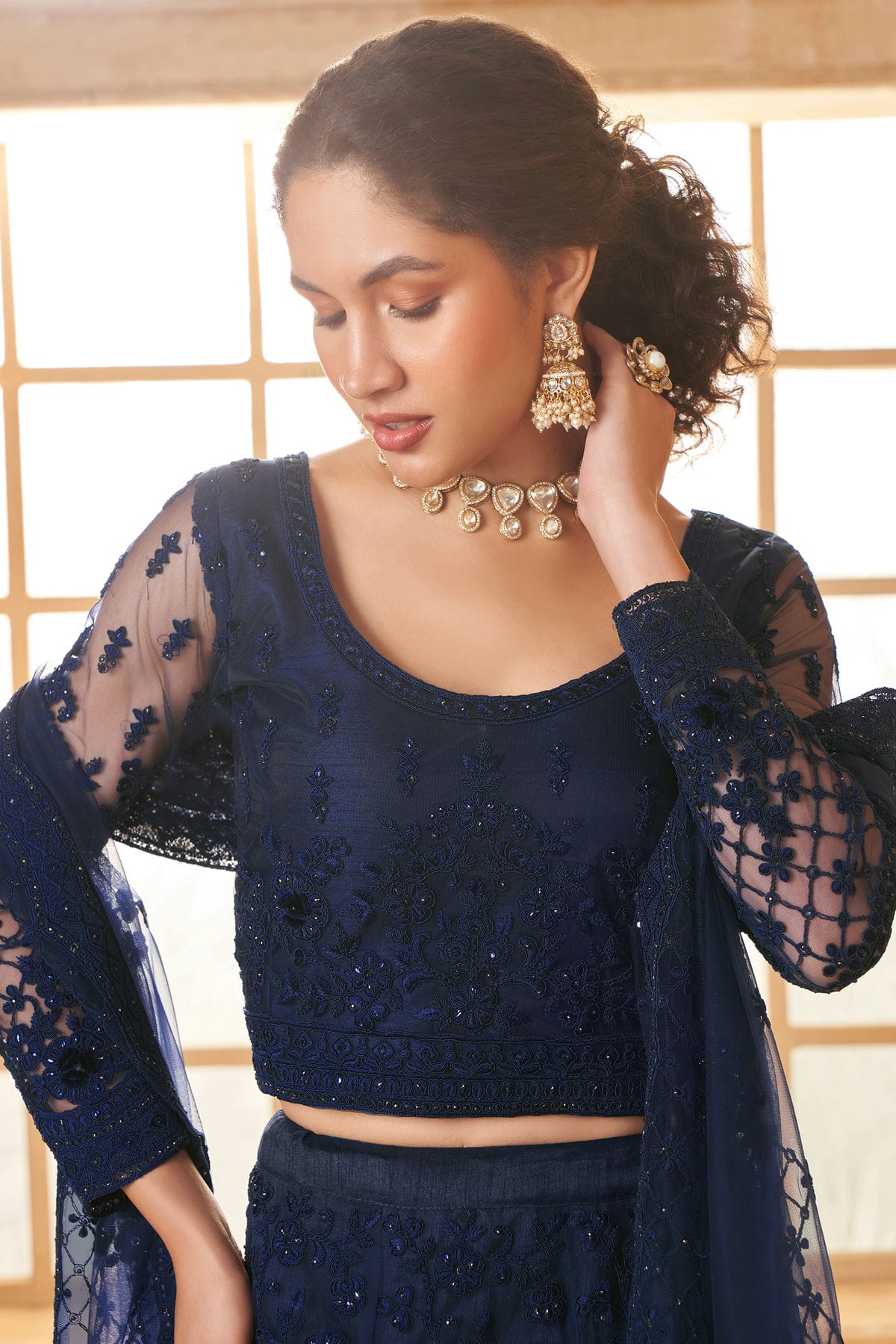 Blue Embroidery Net and SilK Lehenga Choli