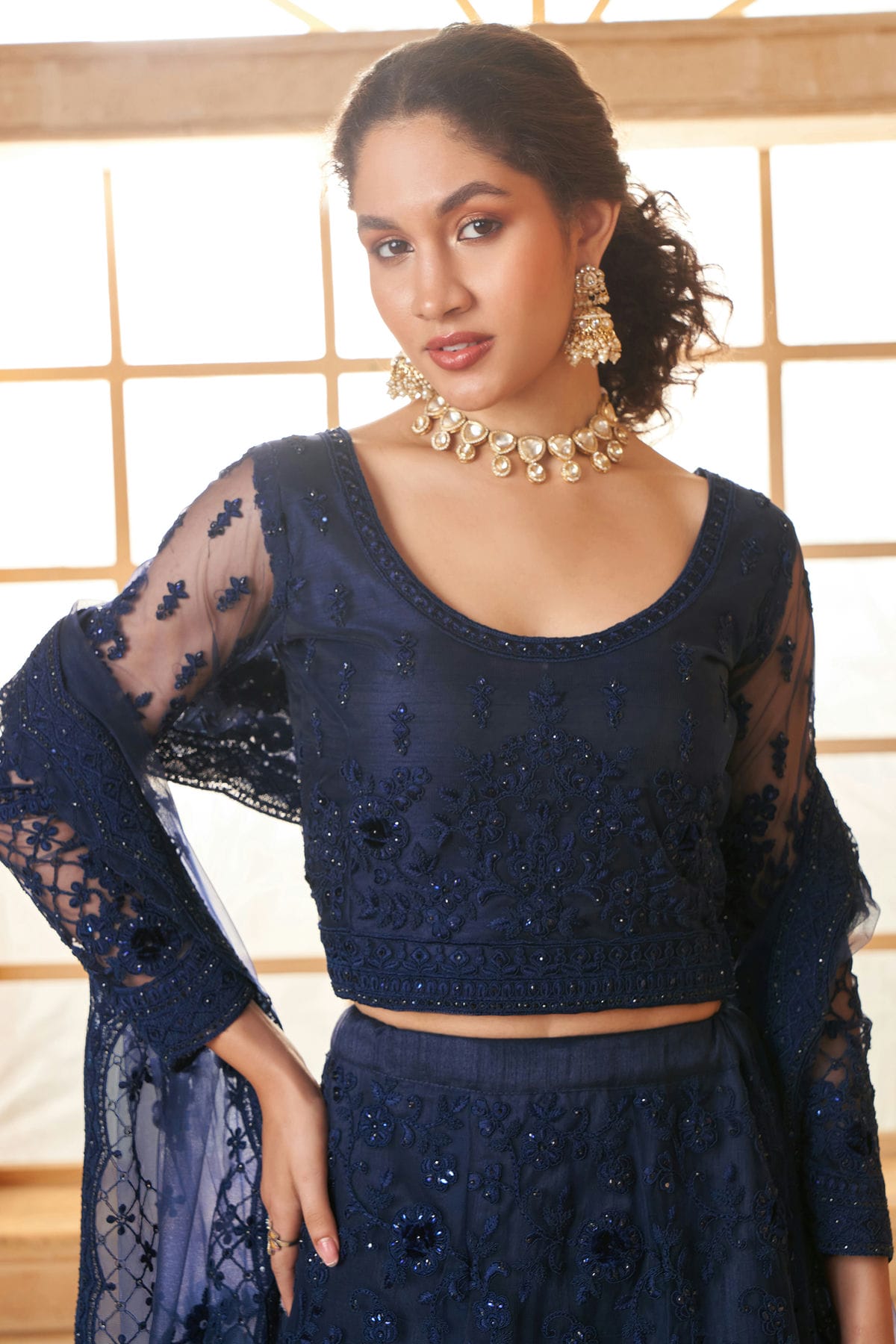 Blue Embroidery Net and SilK Lehenga Choli