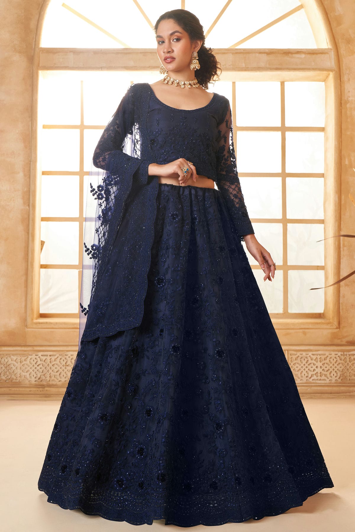 Blue Embroidery Net and SilK Lehenga Choli