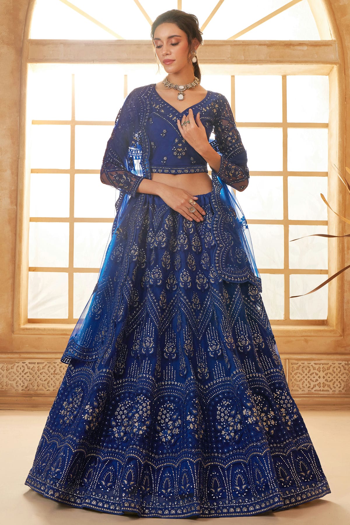 Blue Embroidery Net and SilK Lehenga Choli