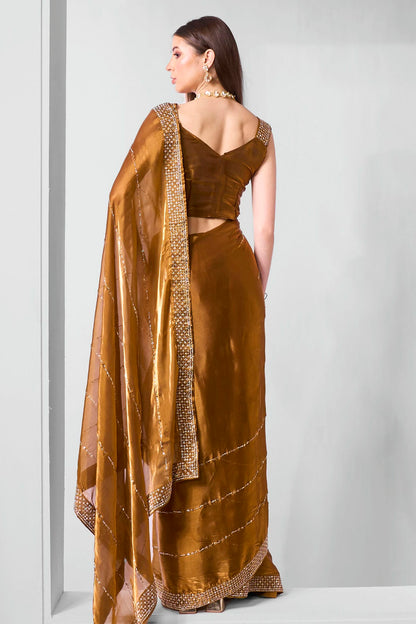 Brown Colour Jimmy Choo Designer Saree