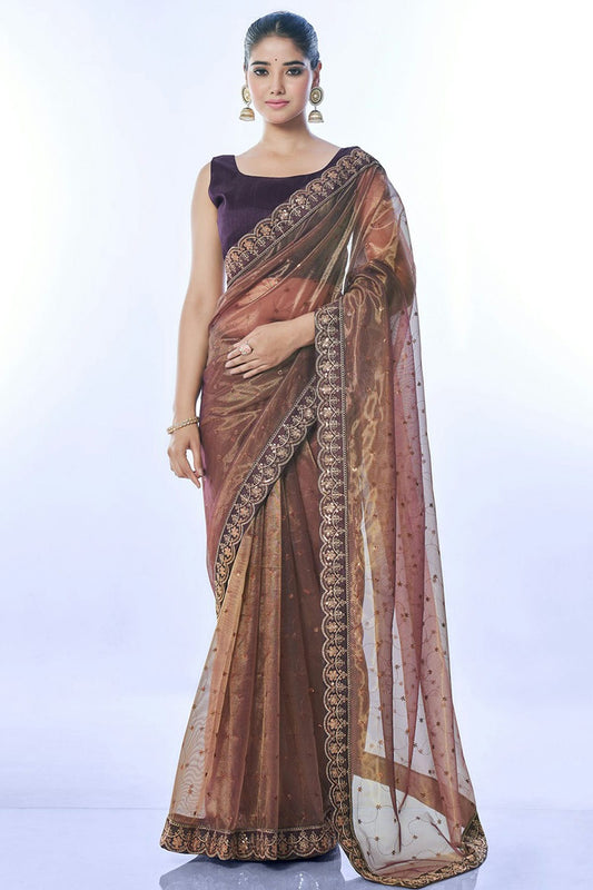 Brown Colour Net Designer Saree