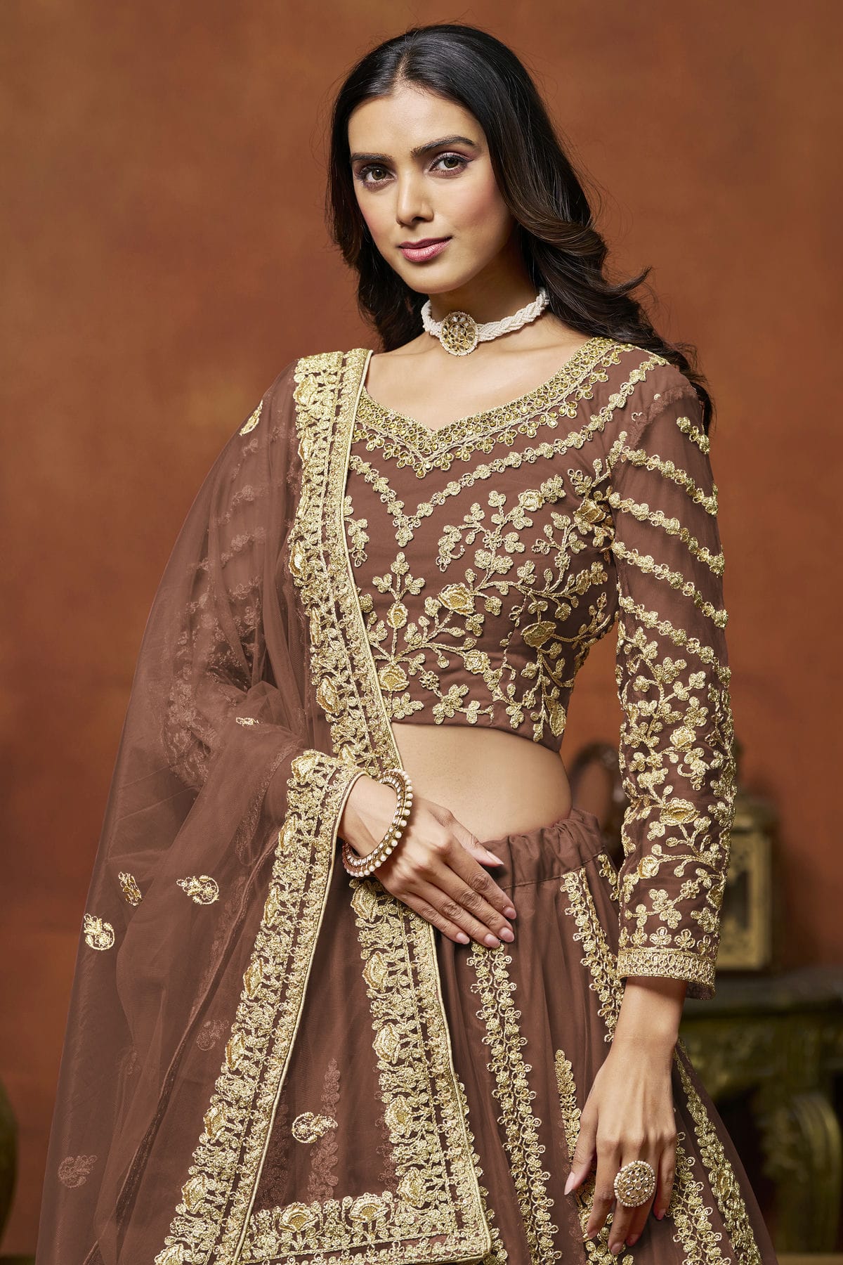 Light Brown Colour Net Lehenga Choli