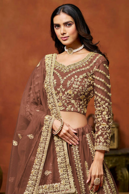 Light Brown Colour Net Lehenga Choli