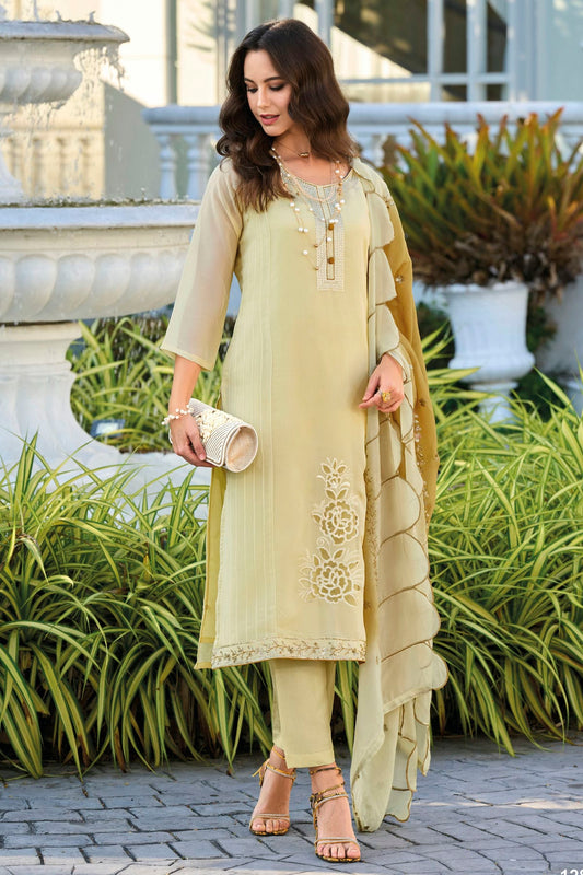 Light Green Colour Soft Organza Pakistani Suit