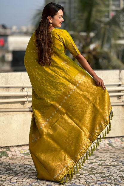 Light Green Colour Soft Silk Traditional Saree VSSD1112649