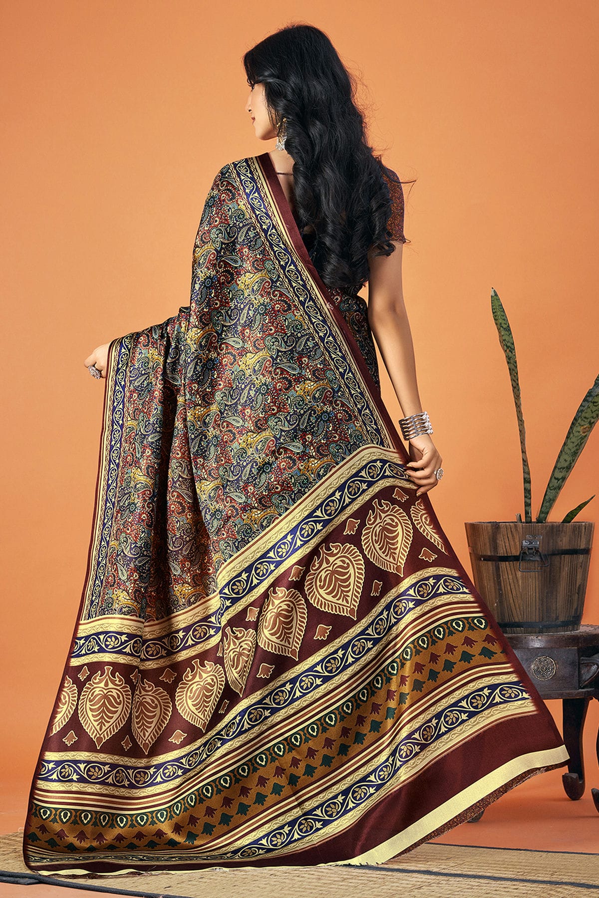 Multicolour Colour Pashmina Saree