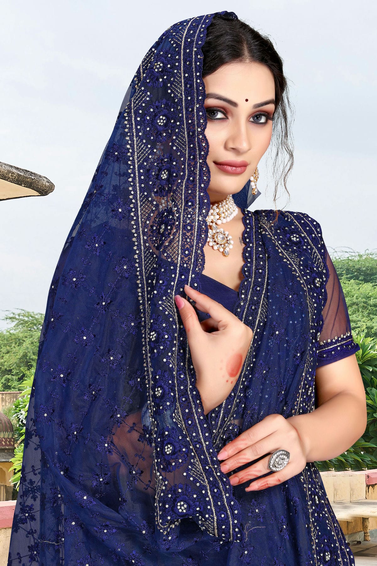 Navy Blue Colour Net Saree