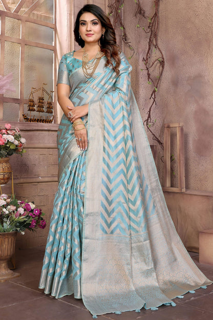 Sky-Blue-Colour-Organza-Saree-VSSD1112745