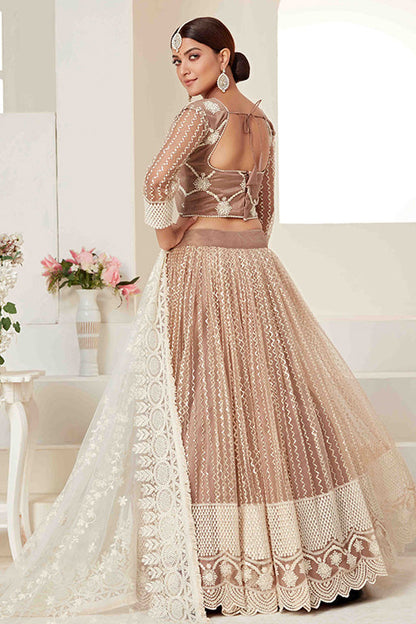 Beige Colour Net Designer Lehenga Choli