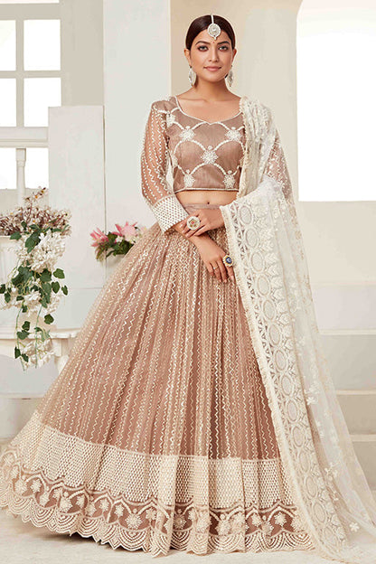 Beige Colour Net Designer Lehenga Choli