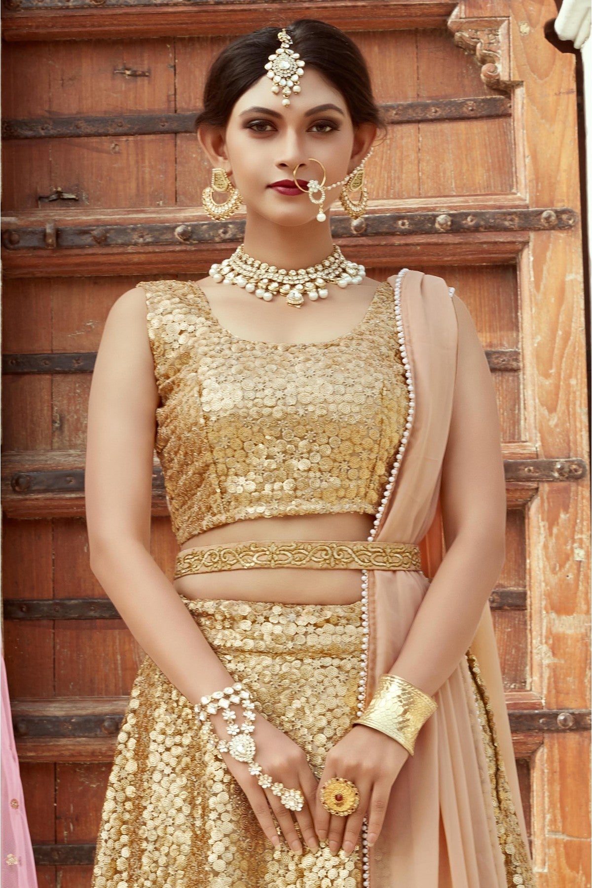 Beige Colour Soft Net Embroidery Lehenga Choli