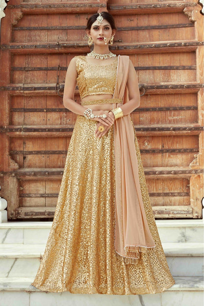 Beige Colour Soft Net Embroidery Lehenga Choli