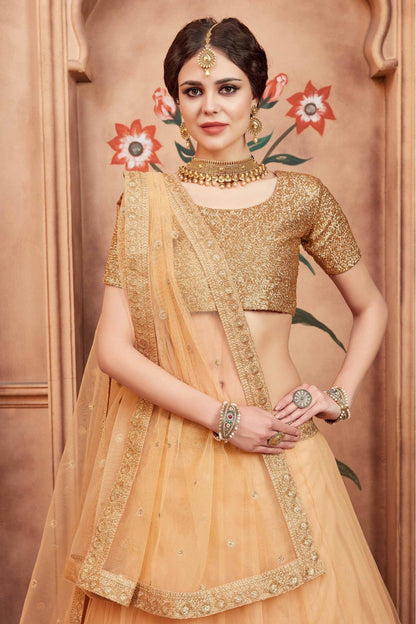 Beige Colour Soft Net Sequins Work Lehenga Choli