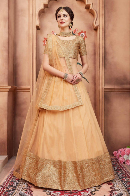 Beige Colour Soft Net Sequins Work Lehenga Choli