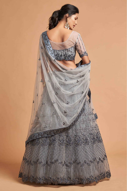 Grey Colour Net Lehenga Choli