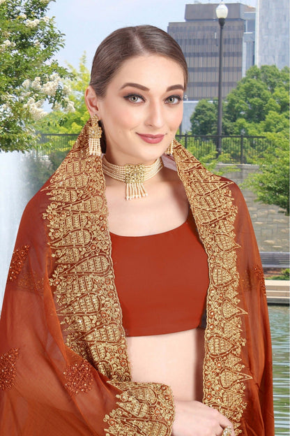 Rust Colour Chiffon Embroidery Saree